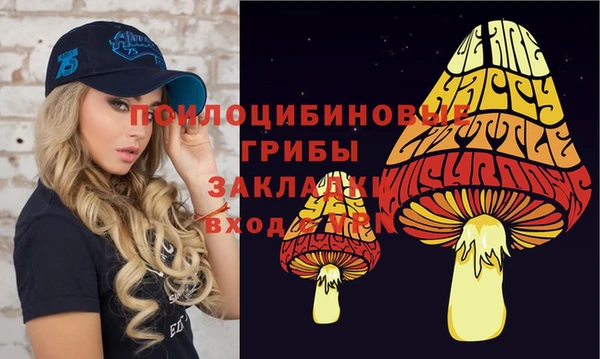 винт Киренск