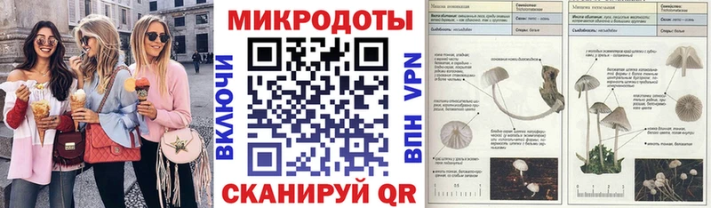 Купить где  Солнечногорск  Псилоцибиновые грибы мицелий 